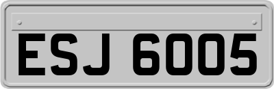 ESJ6005