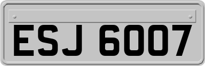 ESJ6007
