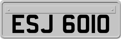 ESJ6010