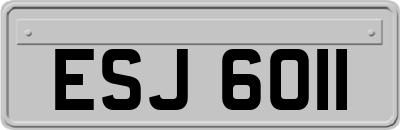 ESJ6011