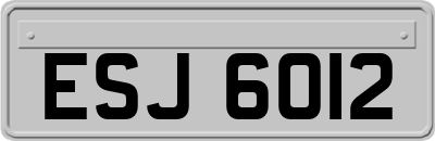 ESJ6012