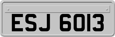 ESJ6013