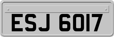 ESJ6017