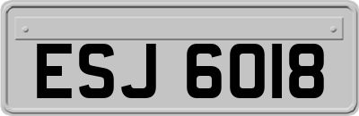 ESJ6018