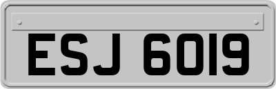 ESJ6019