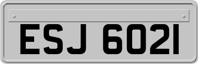 ESJ6021