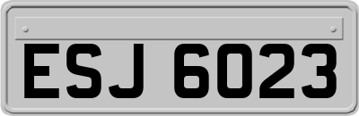 ESJ6023