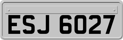 ESJ6027