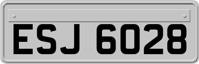 ESJ6028