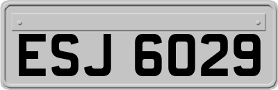 ESJ6029