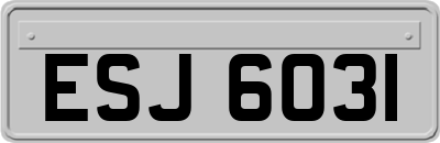 ESJ6031