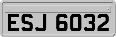 ESJ6032
