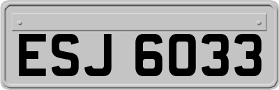ESJ6033