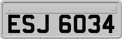 ESJ6034
