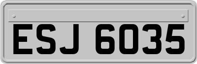 ESJ6035