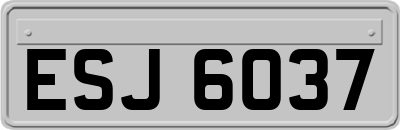 ESJ6037