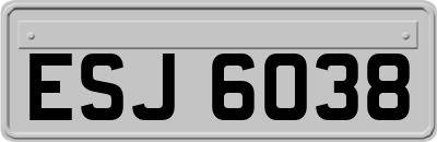 ESJ6038