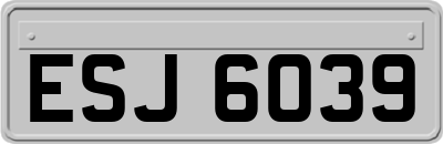 ESJ6039