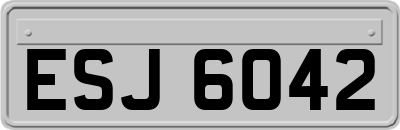 ESJ6042