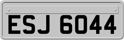 ESJ6044