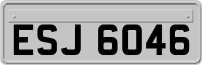ESJ6046