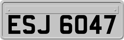 ESJ6047
