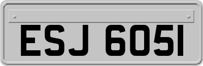 ESJ6051