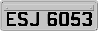 ESJ6053