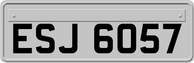 ESJ6057