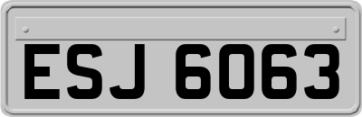 ESJ6063