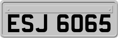 ESJ6065