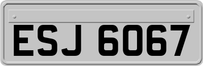 ESJ6067