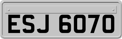 ESJ6070