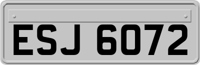 ESJ6072