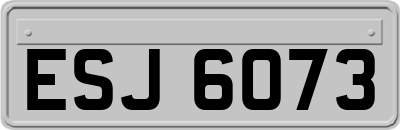 ESJ6073