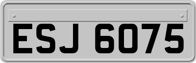 ESJ6075