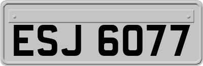 ESJ6077