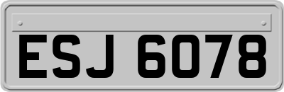 ESJ6078