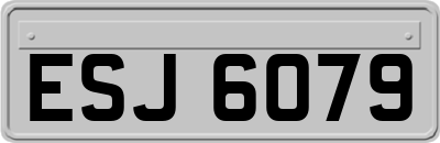 ESJ6079
