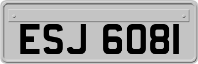 ESJ6081