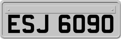 ESJ6090