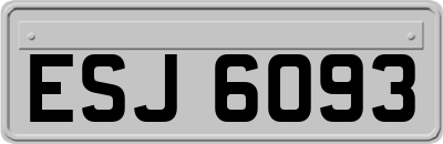 ESJ6093