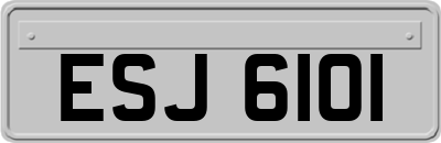 ESJ6101