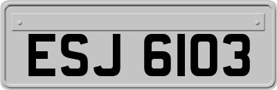 ESJ6103