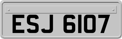 ESJ6107