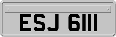 ESJ6111