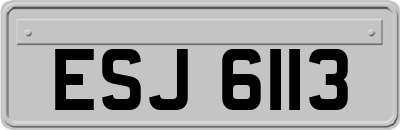 ESJ6113