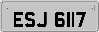 ESJ6117