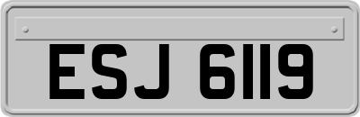ESJ6119