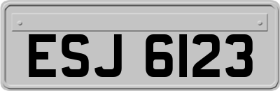 ESJ6123